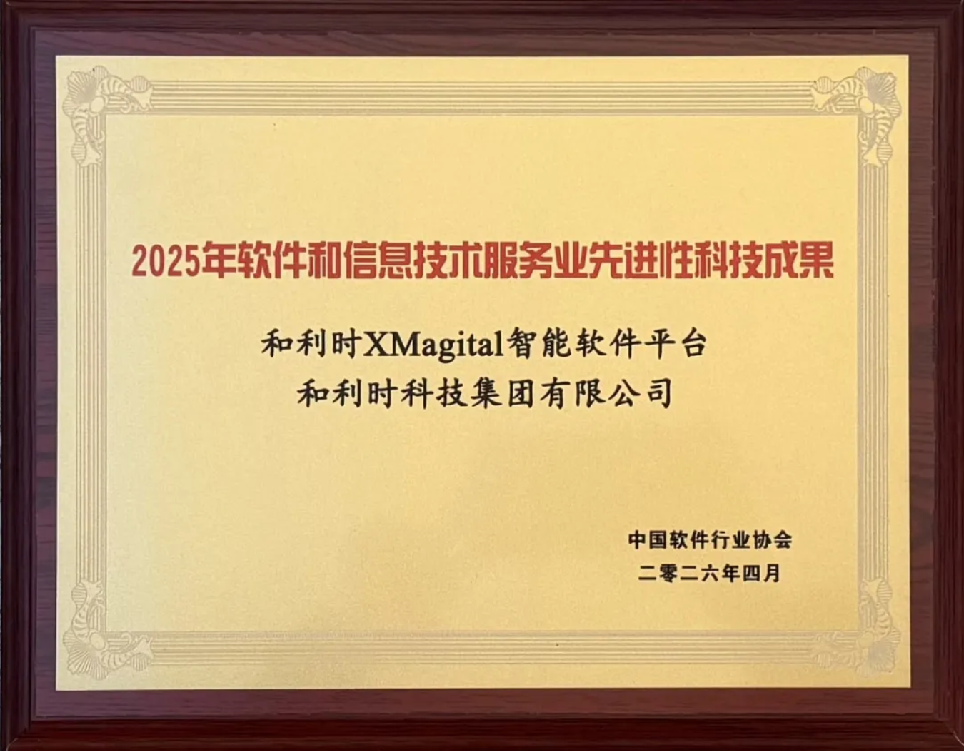 2025年软件和信息技术服务业先进性科技成果